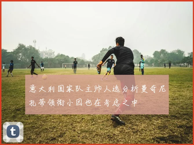 意大利国家队主帅人选分析曼奇尼孔蒂领衔小因也在考虑之中