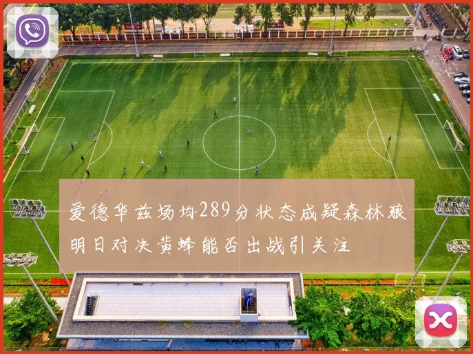 爱德华兹场均289分状态成疑森林狼明日对决黄蜂能否出战引关注