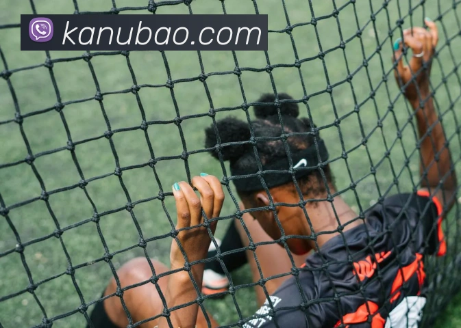 App Interface Preview