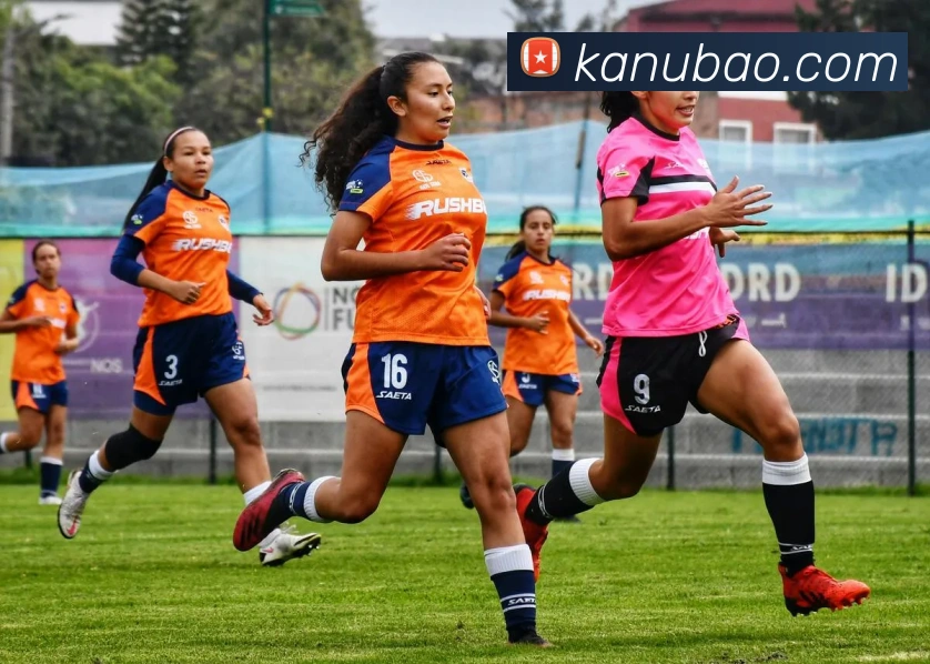 华体会APP 封面图